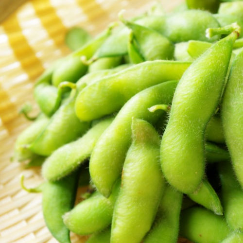 boiled and salted green soy beans in pod